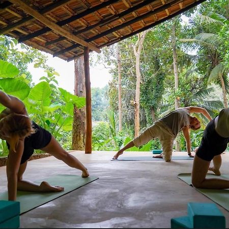 Into The Blue - Yoga Included & Walk To 3 Beaches Tangalle Exterior foto